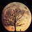 A circular pixelated icon depicts a tree with a dark trunk and brown branches against a gradient background transitioning from dark brown to light yellow.