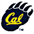 A contact sheet of two identical static frames showing a dark blue bear paw print logo with yellow "Cal" text, alongside a separate frame displaying the text "CoolBuddy.com" in metallic silver letters on a teal background.