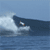 Animated contact sheet showing three sequential frames of a surfer riding a large ocean wave under clear blue sky.