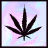 Three pixelated cannabis leaf icons displayed in a , each with distinct leaf orientation against pastel gradient backgrounds