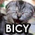 Pixelated image of a gray cat with closed eyes and a dark red nose, overlaid by bold white text reading "BICY" on a black background.