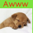 A pixelated dog lies on a white background beneath red text reading 'AWWW' on green.