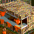 Pixelated scene with orange flame-like shapes, blue water, brown structures, and a light-colored building under a patterned sky.