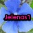 Pixelated image of a blue flower with green leaves, a pink cartoon face, and a yellow cartoon character with text overlays.