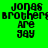 Green background with black pixelated text reading "jons brothers are gay" in four quadrants, one quadrant showing red glow effect.