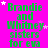 Green text on bright pink background with white stars, repeating 'Brandie and Whitney sisters for eva' in multiple