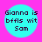 Four cyan circles on a pink background display identical pixelated text reading "Gianna is bfils wit Sam" with no visible animation changes.