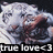 A white tiger's face with a brown nose and mouth, partially obscured by text reading 'true love<3' on a black background.