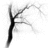 Black and white abstract tree-like shape with branching lines on a white background, showing subtle variations in line density across frames.
