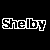 Animated sequence of 'Shelby' text in white outline with pink fill, transitioning from black background to gray bottom-right corner.