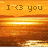 Animated icon with orange gradient background displaying text 'I <3 you' and 'summer' at top, '2007' below, and a bright horizontal light effect moving across the scene.