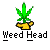 Pixelated green cannabis plant in yellow pot with black outline, below text reading 'Weed Head' on gray background.