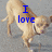 A four- shows a light brown dog running on a gray background with blue text changing