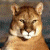 Static image of a light brown cougar with white muzzle and chest against dark background, next to green with pixelated text