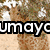 Animated giraffe head with text overlays showing 'umayc', 'Loves', and 'Giraffes'