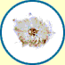 Animated icon shows a white background with a blue circular border, containing a central brown and white patterned shape.