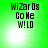 Green background with pixelated text 'WiZarDs Go Ne W!LD' and a bright white light spot shifting position across frames.