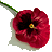 A pixelated red flower with a dark center and yellow stamen, attached to a green stem on a light gray background.
