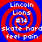 Red and blue spiral background with white text reading Lincoln Lions #14 skate hard feel pain repeated in four quadrants.