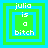 Four identical pixelated squares with green and blue borders display the text "julia is a bitch" in white pixelated font.