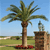 Pixelated static image of a palm tree with a stone pillar and grassy field under a blue sky.