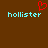 Brown background with two light blue 'hollister' texts and a red pixelated heart above the left text.