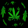 Green cannabis leaf icons float in circular patterns against a black background, with varying sizes and orientations across the