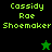 Green pixelated text 'Cassidy Rae Shoemaker' on black and green backgrounds with a star symbol changing from green to black.