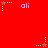 Red background with repeated cyan and brown star-shaped icons and pink 'ali' text in a pattern