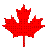 Red maple leaf icons in various pixelated styles and orientations on a gray background, with two vertical bar icons present.