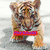 A pixelated tiger cub with striped fur stands on a light gray surface, overlaid by red text in a blue rectangle.