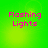 Green background with pink text reading 'Flashing Lights' in four quadrants, each showing a different light effect.