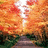 A static image with an orange background divided into four sections: a top-left autumn path scene, top-right text, bottom-left text, and bottom-right text.