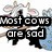 Animated cow icon with black-and-white patches, pink nose, and blue polka-dot background holding a wooden stick across its mouth.