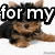 A four- shows a small dog with brown and black fur, each containing text fragments