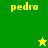 Green and yellow pixelated icon with 'pedro' text in three positions, featuring a small star symbol that changes color between frames.