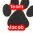 Black paw print with red text labels 'Team' and 'Jacob' on a white background, rendered in pixelated style.