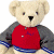 Pixelated teddy bear in red and gray shirt with blue checkered trim, standing against white background next to green with 'OriginalIcons.com' text