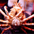 Pixelated image of a light-colored, multi-limbed creature with glowing eyes against a dark, abstract background with red and purple tones.
