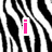 Black and white zebra-stripe pattern background with pink text reading "i love to cheer!" in four separate segments.
