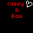 Red text 'Casey & Baili' on black background with white pixelated heart symbol above 'Casey' on left side.