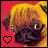 A 48x48 pixel animated buddy icon featuring a pug dog with yellow fur and black face, displayed in two frames showing heart color change from red to yellow against a solid pink background.