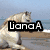 Four horse images arranged in a with text overlays: a white horse on a beach, a light brown horse grazing, two brown horses facing each other, and a blank gray