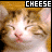 A 48x48 pixel animated contact sheet showing two frames of a cat's face with the word "CHEESE" above it, where the right frame has slightly different eye and mouth positioning than the left frame.