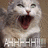 A static pixelated image of a light-colored cat with dark eyes and nose, mouth open showing red tongue and teeth-like shapes.