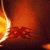 A 50x50 pixel animated contact sheet showing two frames of a fiery explosion icon with green text reading "Original Icons .com" on the right side.