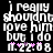 Pixelated text reads "i really shouldnt love him but i do" with pink asterisks and date "n.22.08" on black background, two identical frames side-by-side.