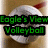 A pixelated image of a white cat with red ears and green text reading 'Eagle's View Volleyball' on the left side.