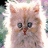 Two side-by-side cat icons with distinct color schemes and expressions, one light-colored with a red marking on its nose, the other dark blue-gray.