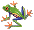 Green frog with orange limbs and red eyes in a dynamic pose against a gray background, showing slight variations in limb positioning between frames.